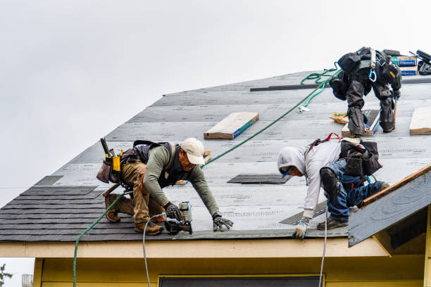 Professional Gutter Installation technician working in Holdingford, MN